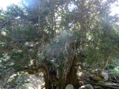 bola del mundo navacerrada viaje de fin de semana parque natural del monasterio de piedra senderismo